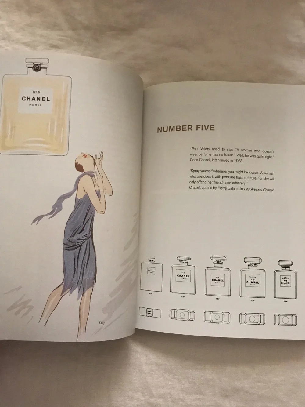 Coco Chanel: The Legend and the Life by Justine Picardie